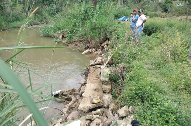 Irigasi Padangtorok Harau Rusak Berat 30 Hektar Sawah Terancam Gagal