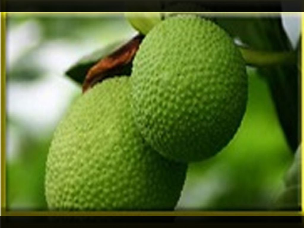 5 Manfaat Buah Sukun untuk Kesehatan