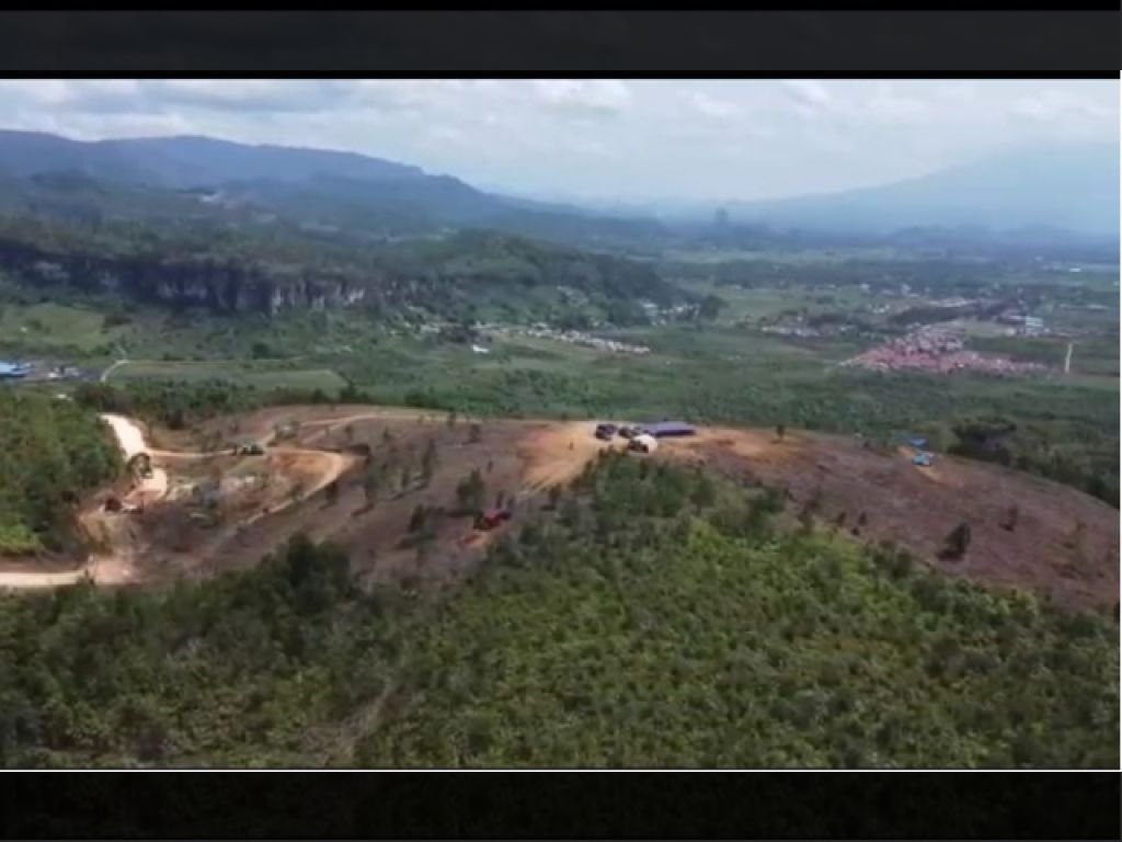 hutan