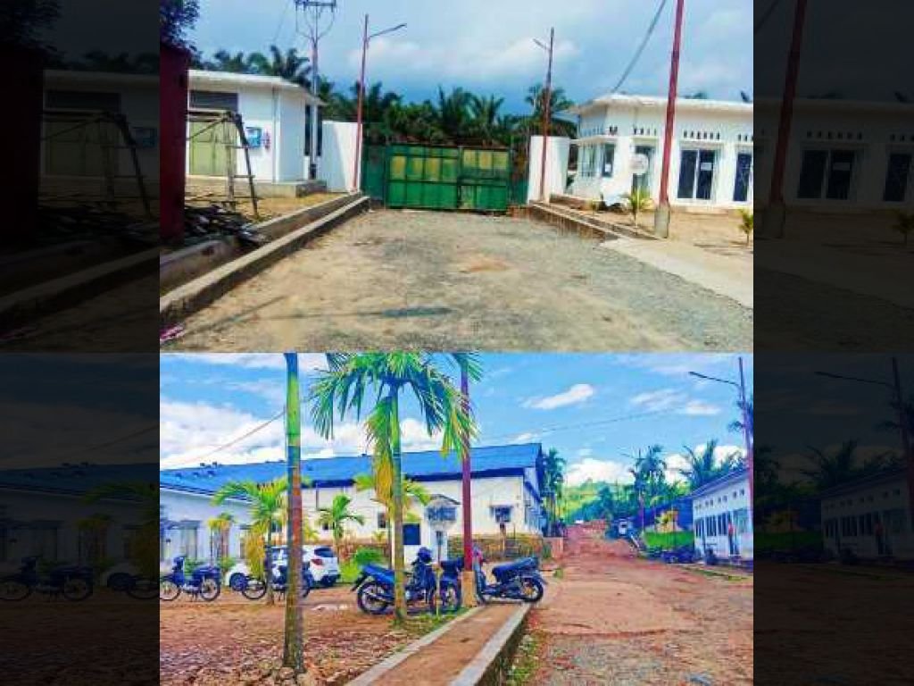 PMA PT. SRI Pangkalan, Pabrik Pengolahan Daun Gambir Bantu Petani Lima Puluh Kota