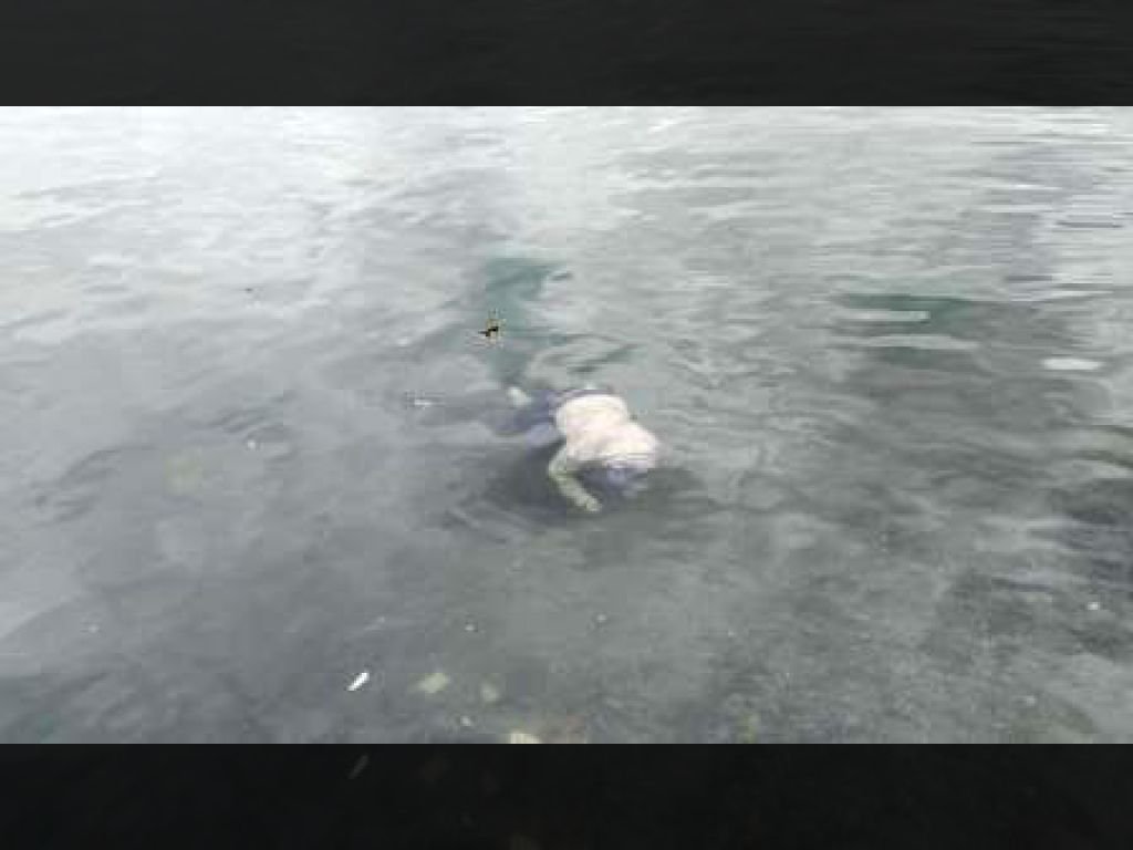 Sosok Mayat Perempuan Ditemukan Mengapung di Danau Maninjau, Polisi Gercep Lakukan Evakuasi