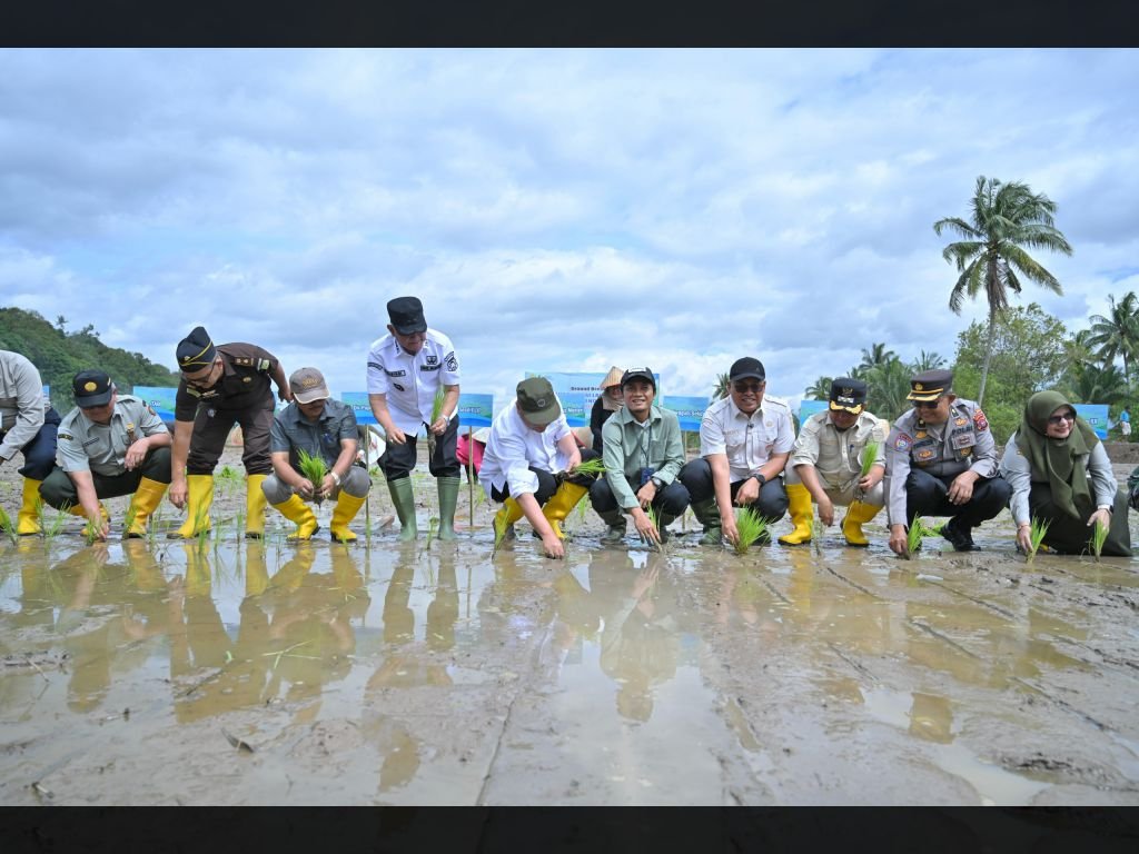 Perdana di Selayo, Lahan Pertanian Seluas 6.451 Hektar Terdampak Bencana di Sumbar Mulai Direhabilitasi