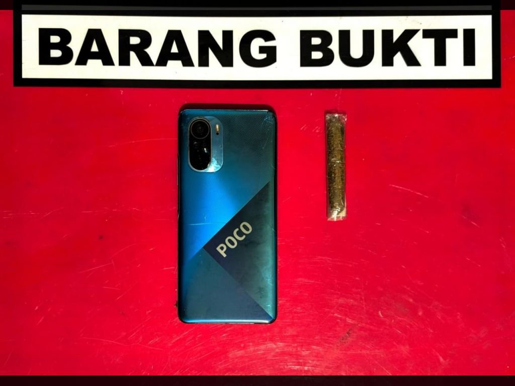 Tim Satresnarkoba Polres Solok Ungkap Kasus Ganja, Dua Mahasiswa Dibawa ke Lubuk Selasih