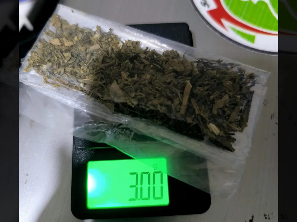 Barang bukti jenis Ganja di timbang petugas