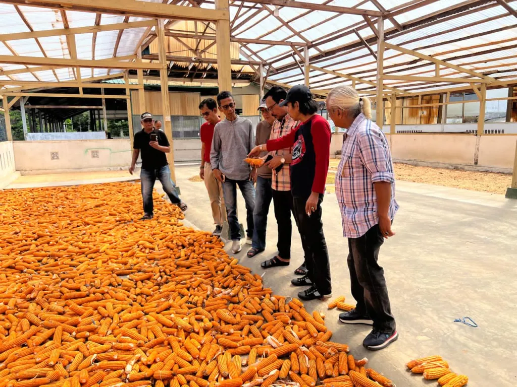 Kedatangan Direktur Irigasi Pertanian Dirjend Kementan RI, Dr. Liferdi Lukman, SP, M.Si meninjau produsen bibit jagung hybrida  PT Citra Mandiri Kobana (CMK), Kamis (28/5/2026) di Ampang Kualo, Kota Solok.