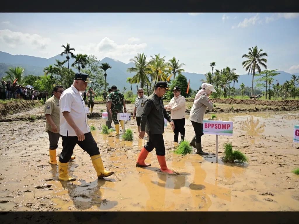 Percepat Pemulihan Lahan Terdampak Bencana, Gerakan Tanam Serempak Dipusatkan di Agam