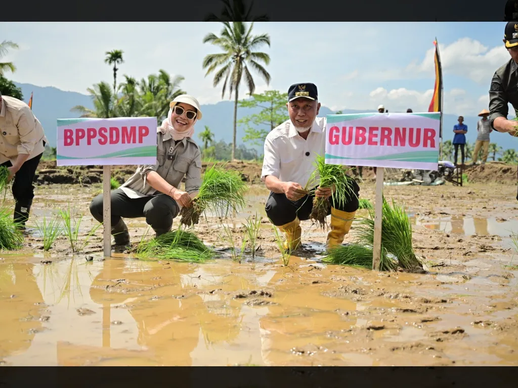 Gubernur Sumbar Mahyeldi bersama Kepala BPPSDM Pertanian Idha Widi Arsanti  pimpin tanam serempak di Nagari Koto Kaciak, Kecamatan Tanjung Raya, Kabupaten Agam, Kamis (30/4/2026).