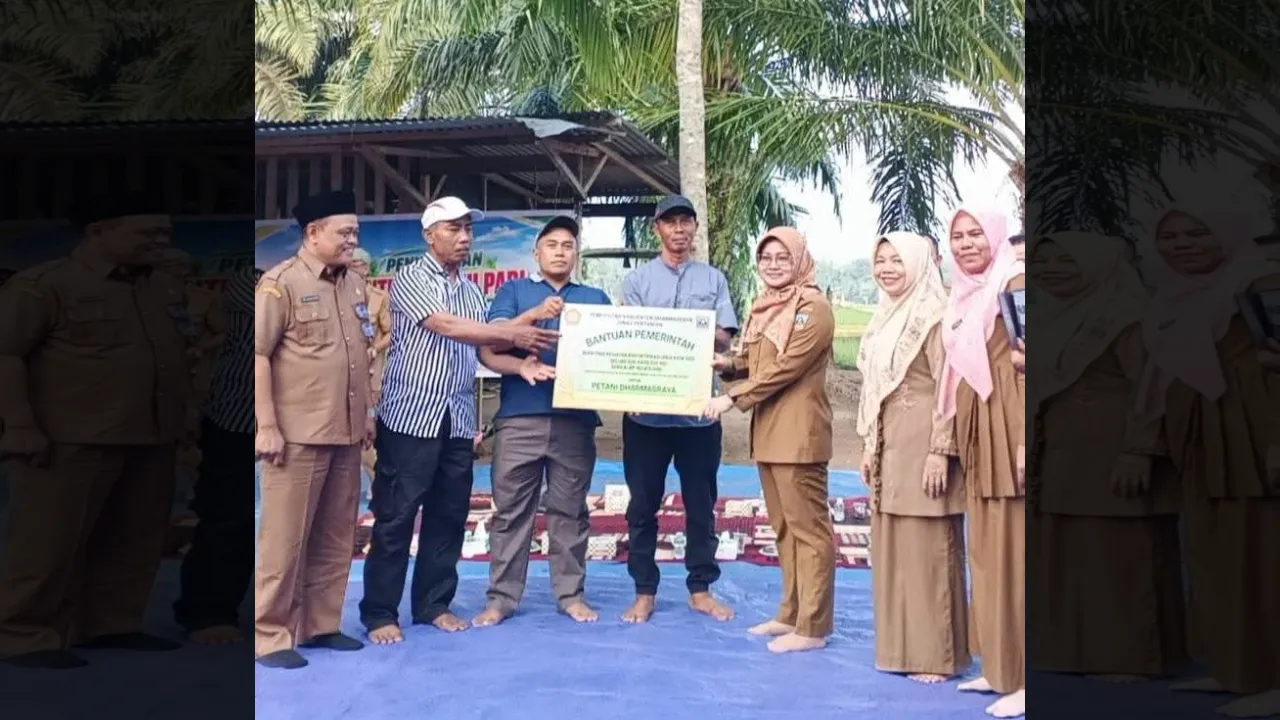 Kadis Pertanian Dharmasraya Lasmiyati serahkan bantuan benih padi kepada perwakilan Keltan 5 nagari